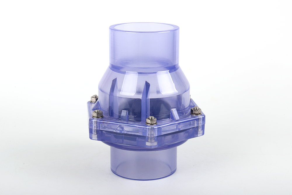 后安镇透明翻板式止回阀